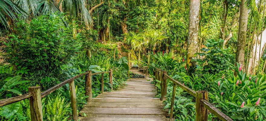 garden of the sleeping giant fiji