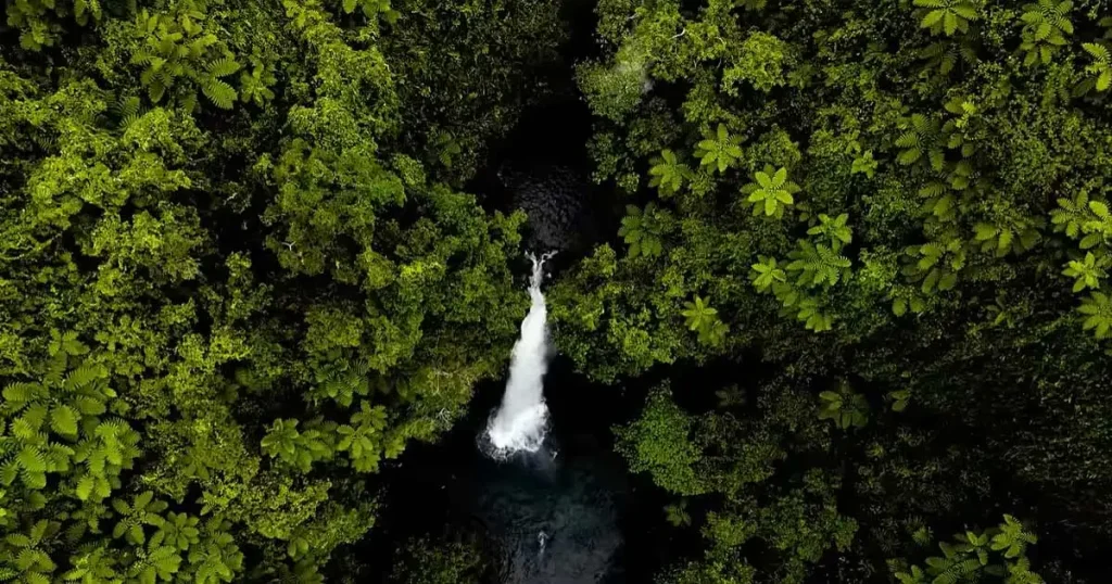 Trek to Tavoro Waterfalls
