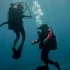 All You Need to Know about Scuba Diving in Fiji