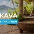 The Bula Bowl: What to Expect When Drinking Kava in Fiji
